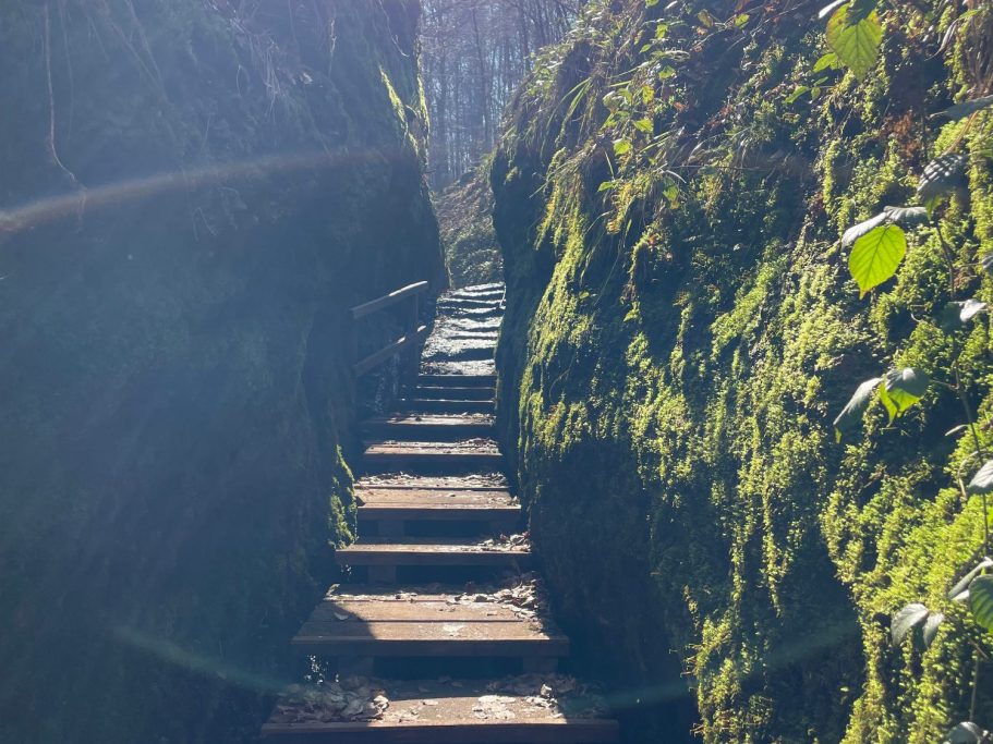 Holztreppen in der Frühlingssonne durch die Drachenschlucht